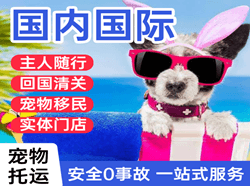 格尔木航空邮寄国际宠物托运 【国